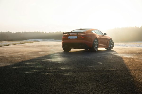 Unmissable Culinary Trends Shaping Today's Gastronomy Scene