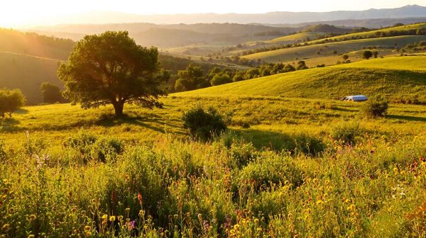 Top naturist campsites in France for the ultimate serenity